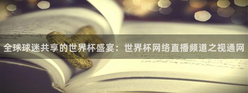 世界杯今年:全球球迷共享的世界杯盛宴:世界杯网络直播频道之视通网
