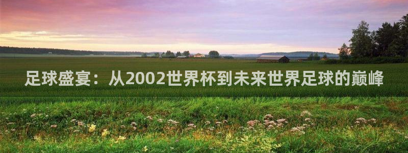 澳门世界杯直播:足球盛宴:从2002世界杯到未来世界足球的巅峰