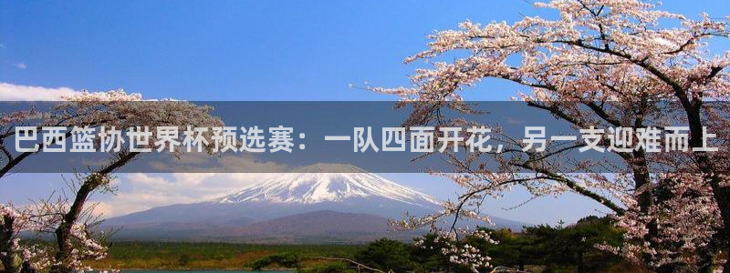 世界杯2026比赛时间表:巴西篮协世界杯预选赛:一队四面开花,另一支迎难而上