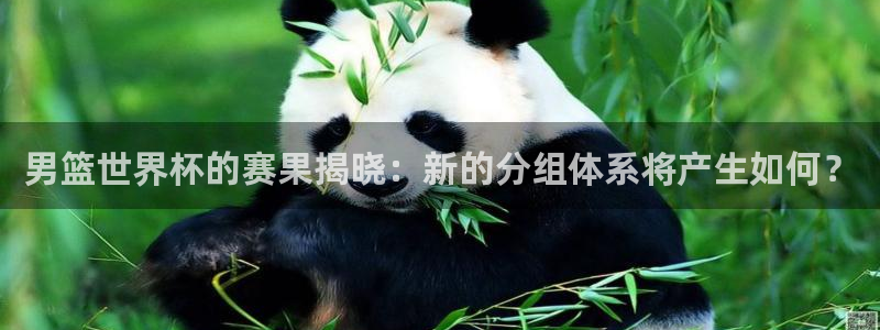 足球世界杯时间:男篮世界杯的赛果揭晓:新的分组体系将产生如何?